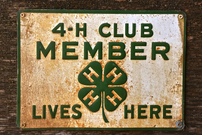 Enon UMC Buckeye Country 4-H  Club old rusty sign on wood wall reading "4-H club member lives here"